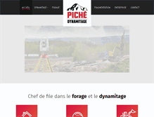 Tablet Screenshot of dynamitagepiche.com